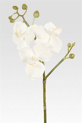 Orkidé stilk - 55 cm -Hvid